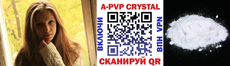 дарк нет телеграм  Щигры  Alpha PVP СК 